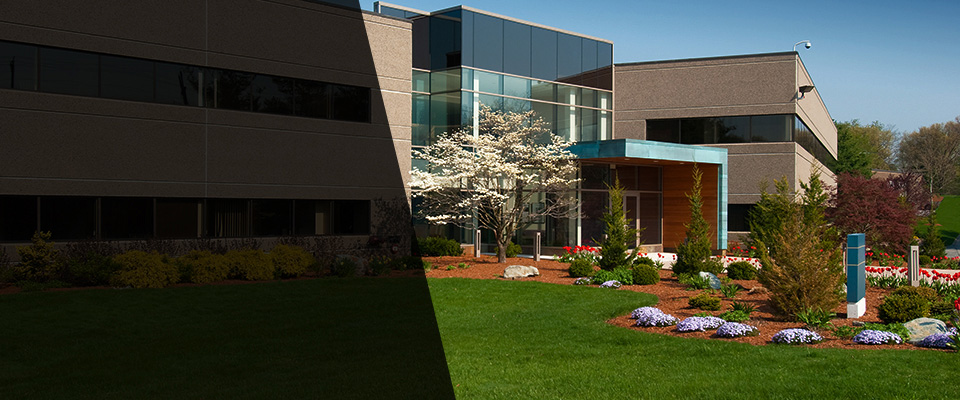 Windermere Landscapers