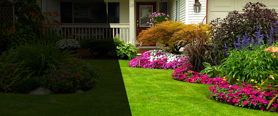 Windermere Landscapers