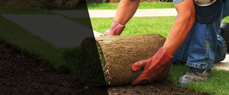 Windermere Landscapers